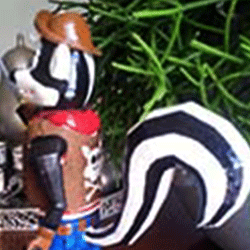 Captain Skunk 3D printed model